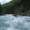 tara-rafting-splavarenje