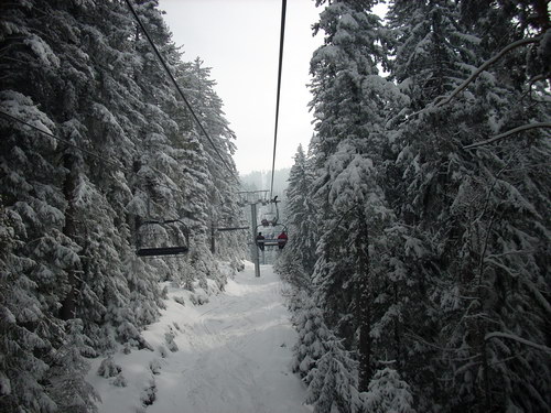 Borovec Skijanje Bugarska