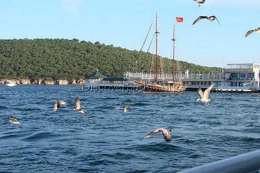 Princes Islands Turkey