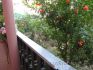 bela-crkva-apartman